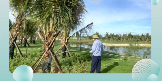 FLC Quảng Bình Khơi Nguồn Sống Mới