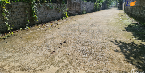 391m2 Vân Hòa Ba Vì Hà Nội giá cả LH A Tiến 0988601919