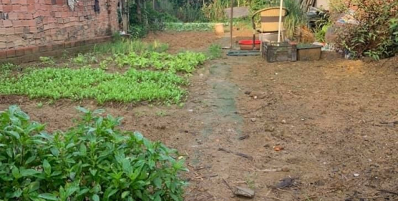 Cần Bán Gấp Lô Đất 240m2 Tại P. Phước Tân - TP. Biên Hòa