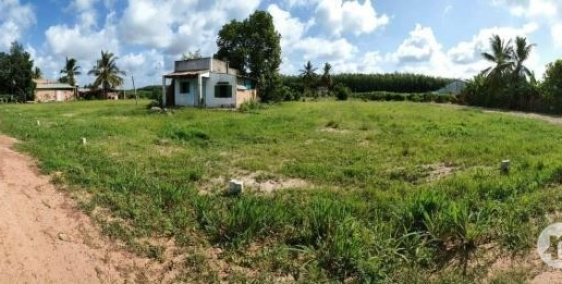 Bán 11 lô đất châu thành 5x40 = DT 177.2m2