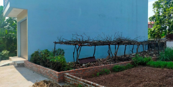 Bán lô góc 50m2 đường Cầu Kênh, Tân Lập, Đan Phượng, ngõ nông, LH: 0981481995