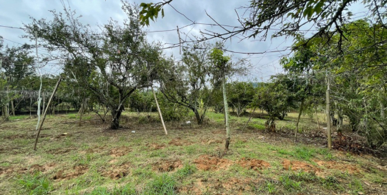 Đất Mộc Châu vew tuyệt đẹp, giá đầu tư đón quy hoạch cao tốc HB – SL.