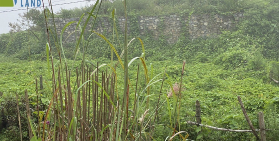 Cơ hội có 1-0-2 để sở hữu lô đất 240m2 tại Sapa với giá rẻ bất ngờ