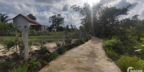 Bán nhanh miếng vườn cực rộng Tịnh Bình, Sơn Tịnh giá rẻ