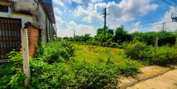 Bán Đất Xưởng Giá Rẻ Thạch Thất Ở Đồng Trúc – Đường Container Đi Lại