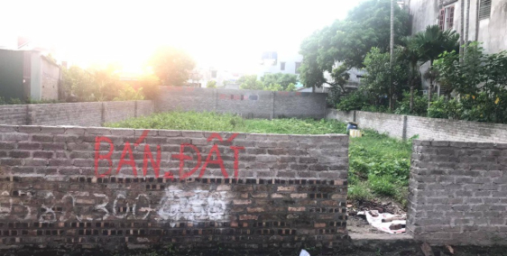 Bán đất mặt phố Lã Thị Lương, ph Hải Tân, TP HD, 71.1m2, mt 4.01m, đường to, 1.5