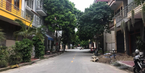 Bán đất mặt phố Lê Đình Vũ, Đông Nam Cường, TP HD, 87.75m2, mt 4.5m, hướng đông