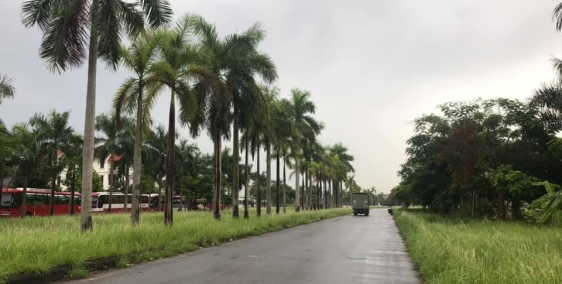 Bán đất biệt thự đường đôi Nguyễn Đình Bể, KĐT An Phú, TP HD, 250m2, mt 10m, đườ