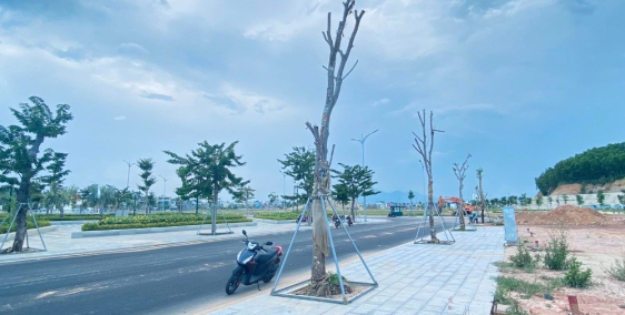 BÁN MẶT TIỀN PHỐ ĐI BỘ KHU DÂN CƯ 577 SƠN TỊNH