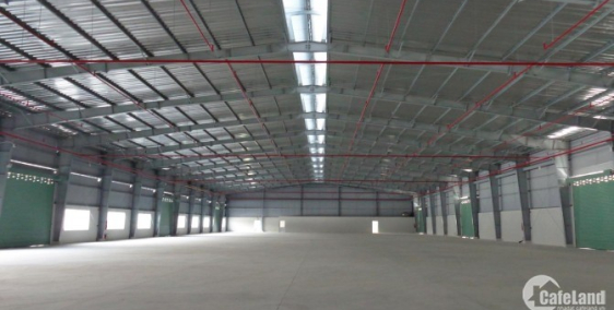 Cho thuê xưởng tại KCN Mỹ Phước - Bến Cát - Bình Dương