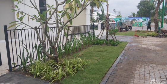 Cần bán biệt thự liền kề siêu siêu đep