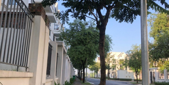 giá biệt thự luôn tốt nhất, Times garden Vĩnh Yên