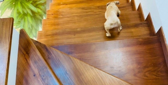 Bán nhà Khương Trung, Thanh Xuân 45m2, 4 tầng, hai thoáng chỉ nhỉnh 2 tỷ