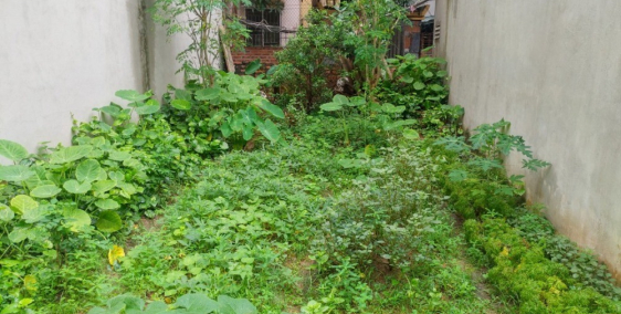 Bán gấp lô đất ngõ 489 Xuân Đỉnh, gần ôtô, mua ở thì sướng 35m2 giá 2.6 tỷ.