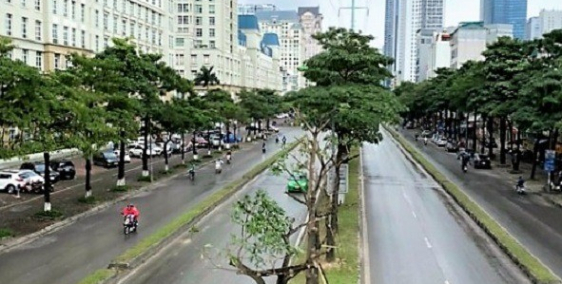 Bán tòa nhà phố Mễ Trì, Từ Liêm. Vỉa hè, ô tô, KD. 120m2 MT9m 7T. 37 tỷ