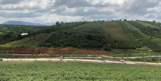 Đất nền Bảo Lộc, RESORT 5 SAO,giá chỉ 539 triệu