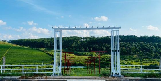 Sở hữu ngay đất Bảo Lộc giá chỉ 399tr sổ sẵn