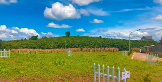 GIA ĐÌNH KẸT TIỀN CẦN BÁN GẤP LÔ ĐẤT ĐƯỜNG LÝ THAIA TỔ BẢO LỘC