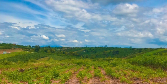 KẸT TIỀN BÁN GẤP MIẾNG ĐẤT DƯỜNG LÝ THÁI TỔ BÁO LỘC