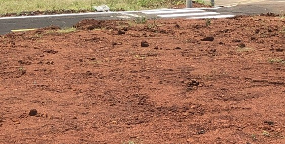 Bán đất view đồi Bảo Lộc , chỉ với 680tr . SHR . Full thổ cư