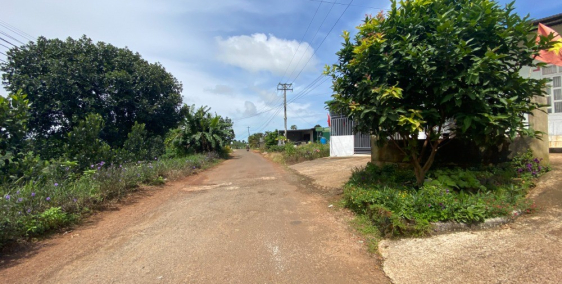 bán đất hẻm lý thái tổ xã dambri tp bảo lộc