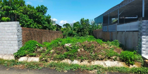 Ngợp cần ra đi 200m2 thổ cư, gấp trong tuần