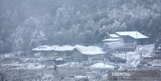 CẦN TIỀN BÁN GẤP lô đất 2084m Phan Cán Sử,Y Tý, Bát Xát,Lào Cai GIÁ RẺ VIEW ĐẸP