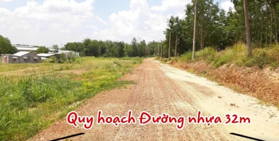 Đất Nền Tại Lai Hưng Bàu Bàng QL 13 Đi Vào 100m 1tr250/m2 Cho 1000m2