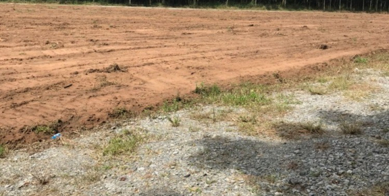 đất Chánh Phú Hoà, Bến Cát hỗ trợ vay ngân hàng