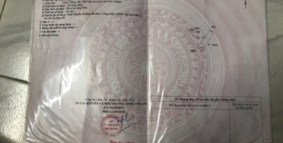 Đất đẹp giá tốt ở Phước Lâm Cần Giuộc