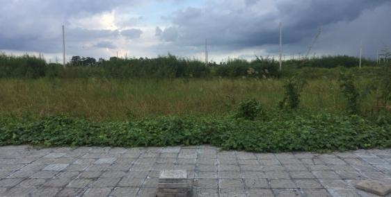 Bán nền mặt tiền ngoại ô Cần Thơ (chỉ cần có 250 triệu)