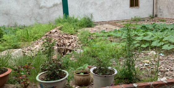 Sở hữu ngay 55m2 đất tại Bãi Tháp - Đồng Tháp - Đan Phượng với giá chỉ 1.x tỷ