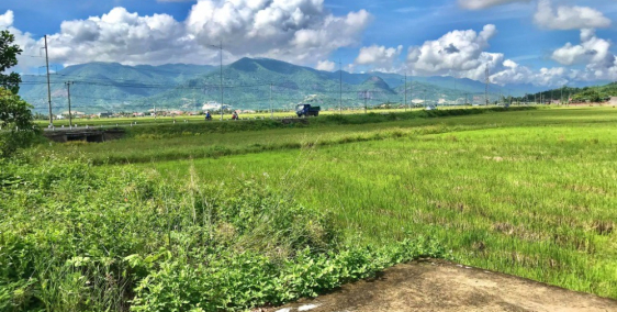 Chủ Cần Tiền Trả Nợ Muốn Bán Nhanh Lô Đất Diên Khánh ngay trục Cao Bá Quát