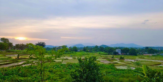 Bán đất Lương Sơn giá siêu rẻ view cánh đồng S=1290m