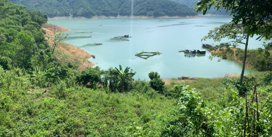 Bán đất tại hòa bình, mảnh đất 1.5 ha có thổ củ và đất vườn trồng cây lâu năm