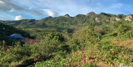 Mộc Châu 2ha chỉ 100k/m2, giáp ủy ban, gần trường học, có ao cá, suối