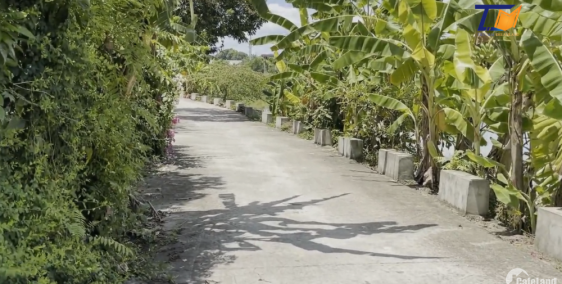 222m2 Trung Hưng Sơn Tây Hà Nội Cần Bán