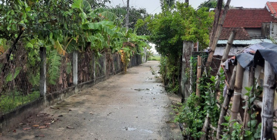 Bình nguyên thăng bình -sau sacombank