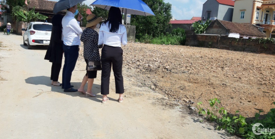 bán đất việt yên bắc giang có diện tích 120 mét vuông với chiều dài 24m và rộng