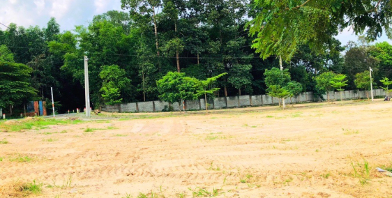 Tôi kẹt tiền cần bán gấp lô đất ở Long Thành gần đại lộ Phùng Hưng