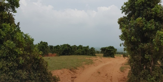 Bán 4144m2 đất vườn bình tân gần công viên safari 3300ha chỉ 538tr Lh 0938677909