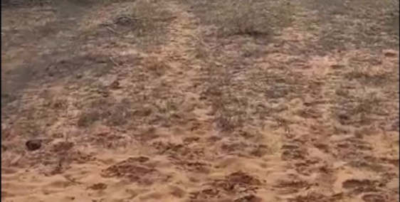 Bán 10,900m2 đất bình thuận 150k/m2 cạnh ĐT 716 ra biển hoà thắng Lh 0938677909