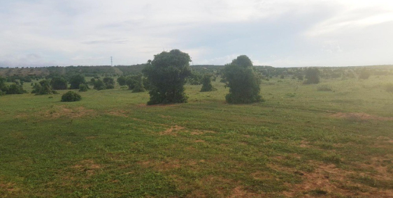 Bán 1ha đất farmstay hoà thắng 1,2 tỷ gần ĐT 716 ra kdl bàu trắng Lh 0385230667