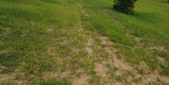 Gia Hưng Land bán đất vườn bình thuận sổ sẵn từ 900tr/ha gần biển Lh 0938.677909