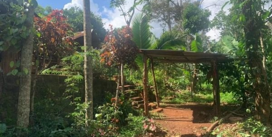 Gia chủ cần tiền nên bán lô đất View suối ở EaTu giáp p.Tân An Gần dự án ECOCITY