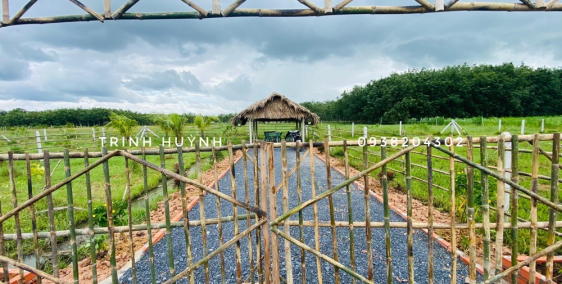 Sẵn nhà vườn 870tr/lô. Ngay KDC. SỔ HỒNG RIÊNG