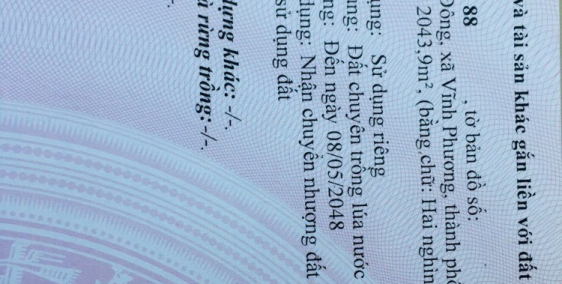 Bán 4 sào đất lúa tại Vĩnh Phương Nha Trang Khánh Hòa