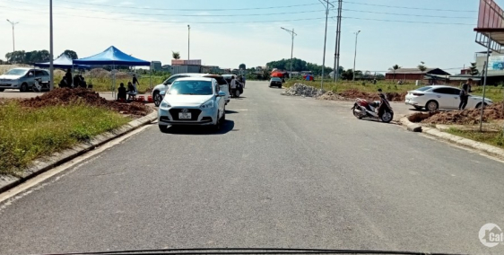 SIÊU PHẨM ĐẤU GIÁ THÁI ĐÀO - BẮC GIANG. NAY CÓ GIÁ TỐT VƯỢT MONG ĐỢI - LÒNG