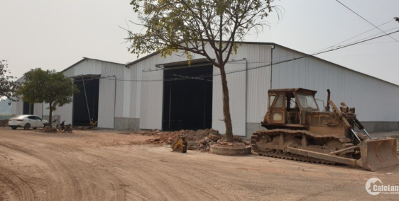 Cho thuê 1- 6000m2 kho xưởng giá 69k/m2 Cầu Thăng Long, Hải Bối, Đông Anh Hà Nội