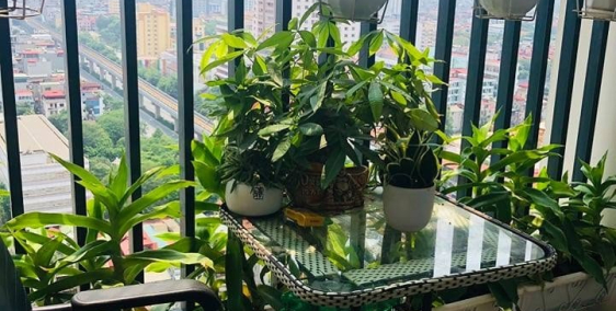 Bán Chung cư cao cấp Samsora Hà Đông 90m2, 3 ngủ, nội thất vip chỉ nhỉnh 2 tỷ